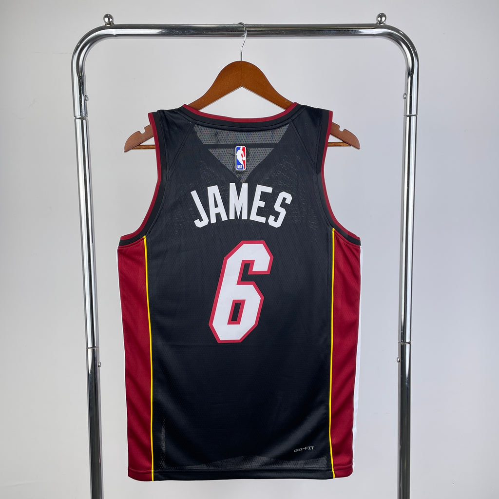 Maillot Miami Heat Domicile (2013-2014) James #6