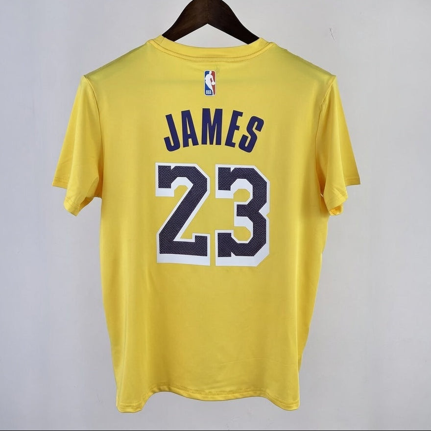 T-shirt d’Entraînement Nike LeBron James #23 (2025-2026)